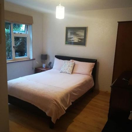 Cosy Apartment ハリウッド エクステリア 写真